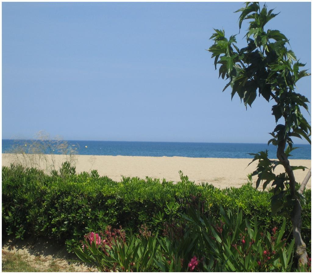Locations Meublées Plage des Pins Argelès-sur-Mer Extérieur photo
