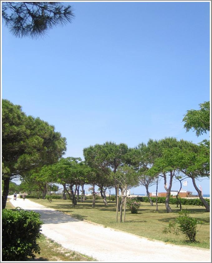 Locations Meublées Plage des Pins Argelès-sur-Mer Extérieur photo